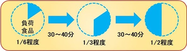 食物経口負荷試験の手順